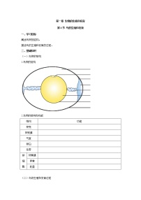 初中生物人教版 (新课标)八年级下册第四节 鸟的生殖和发育学案设计