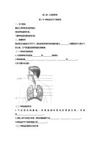 初中生物人教版 (新课标)七年级下册第一节 呼吸道对空气的处理学案