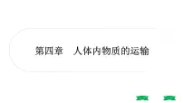 中考生物总复习课件4.第四章 人体内物质的运输