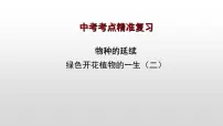 2023年中考生物全考点精讲课件-- 绿色开花植物的一生(二)