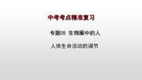2023年中考生物全考点精讲课件-- 生物圈中的人（五）人体生命活动的调节