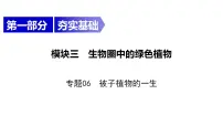 中考生物一轮复习精讲课件-- 被子植物的一生