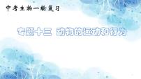 专题13 动物的运动和行为（课件帮）-备战2023年中考生物一轮复习考点帮（全国通用）