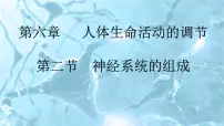初中生物人教版 (新课标)七年级下册第二节 神经系统的组成一等奖备课ppt课件