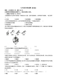 河北省邯郸市馆陶县2022-2023学年七年级上学期期末生物试题（含答案）