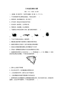 山东省泰安市岱岳区2022-2023学年八年级上学期期末生物试题(无答案)