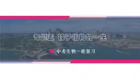 中考生物一轮复习讲练测--专题05 被子植物的一生(精品课件)