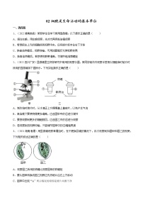 中考生物复习--专题02 细胞是生命活动的基本单位（原卷版解析版）