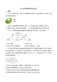 中考生物复习--专题07 绿色植物的光合作用（原卷版解析版）