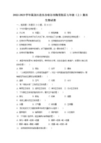 2022-2023学年黑龙江省齐齐哈尔市梅里斯区七年级（上）期末生物试卷（含解析）