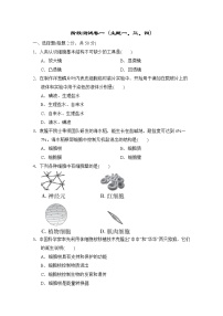 人教版中考生物一轮复习--阶段测试卷一 (生物体的结构层次+生物与环境+植物的生活)