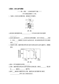 人教版中考生物一轮复习--主题五 人体生理与健康（测试）