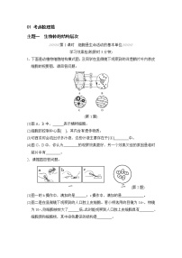 人教版中考生物一轮复习--主题一  生物体的结构层次（测试）