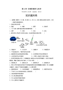 初中生物人教版 (新课标)八年级下册第二章  生物的遗传和变异综合与测试课堂检测