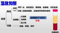 生物七年级下册第二节 血流的管道──血管精品课件ppt