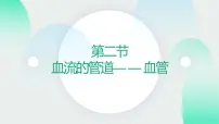 人教版 (新课标)七年级下册第四单元 生物圈中的人第四章 人体内物质的运输第二节 血流的管道──血管完美版ppt课件