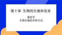 北京版八年级上册第四节 生物生殖的多种方式完美版习题课件ppt