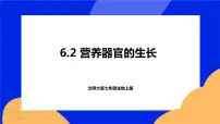 初中生物北师大版七年级上册第2节 营养器官的生长精品课件ppt