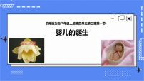 初中生物济南版八年级上册第一节 婴儿的诞生精品ppt课件