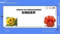 初中生物济南版八年级上册第四节 生物的变异获奖课件ppt