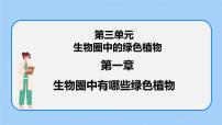 初中生物人教版 (新课标)七年级上册第一节 藻类、苔藓和蕨类植物精品课件ppt