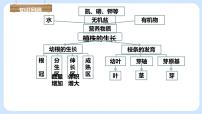 初中生物第三节 开花和结果一等奖课件ppt