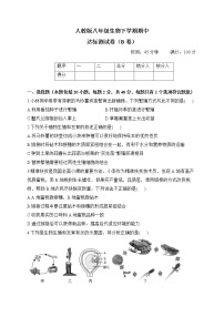 人教版八年级生物下学期期中达标测试卷（B卷）