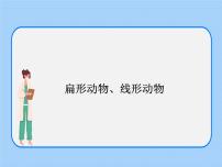 初中生物沪教版八年级下册 生命科学第二节 动物精品课件ppt