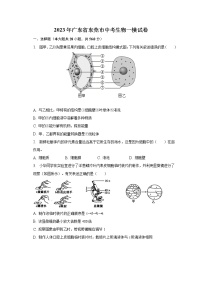 2023年广东省东莞市中考生物一模试卷（含解析）