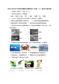 2022-2023学年河南省漯河市舞阳县八年级（上）期末生物试卷（含解析）