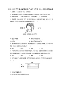 2022-2023学年湖北省随州市广水市七年级（上）期末生物试卷（含解析）