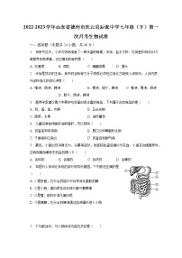 2022-2023学年山东省德州市庆云县后张中学七年级（下）第一次月考生物试卷（含解析）