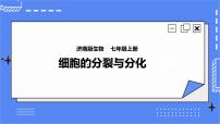 济南版第一单元 奇妙的生命现象第二章  观察生物结构第二节 细胞的分裂与分化获奖课件ppt