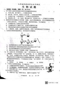 2022--2023学年上学期山东省菏泽市牡丹区七年级期末生物试题