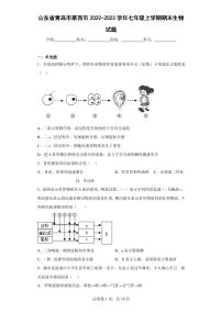 山东省青岛市莱西市2022-2023学年七年级上学期期末生物试题(含答案)