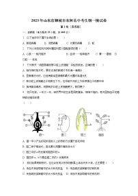 2023年山东省聊城市东阿县中考生物一模试卷（含解析）