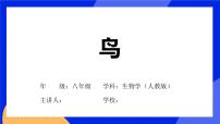 人教版 (新课标)八年级上册第六节   鸟一等奖习题课件ppt