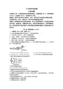 2023年山东省济南市长清区中考一模生物试题