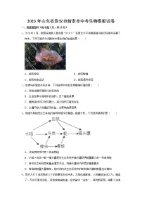 2023年山东省泰安市新泰市中考生物模拟试卷（含答案）