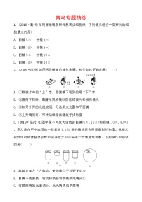 初中生物中考复习 02专题二 专题精练