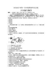 2023年河南省许昌市第一次中招模拟考试八年级生物试卷（含答案）