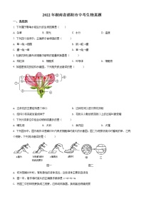 初中生物中考复习 精品解析：2022年湖南省邵阳市中考生物真题（原卷版）