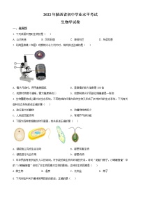 初中生物中考复习 精品解析：2022年陕西省中考生物真题（A卷）（原卷版）