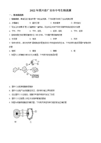 初中生物中考复习 精品解析：2022年四川省广安市中考生物真题（原卷版）