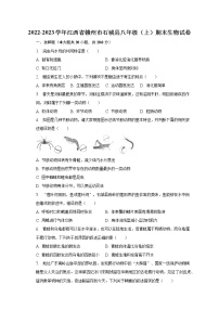 2022-2023学年江西省赣州市石城县八年级（上）期末生物试卷（含解析）