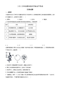 初中生物中考复习 精品解析：山东省东营市2020年中考生物试题（原卷版）