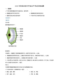 初中生物中考复习 精品解析：山东省青岛市2020年中考生物试题（解析版）