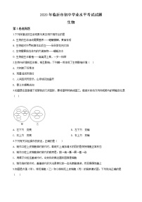 初中生物中考复习 精品解析：山东省临沂市2020年中考生物试题（原卷版）