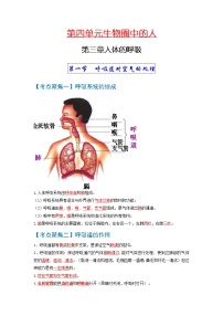 初中生物中考复习 考点03++人体的呼吸-【考点聚焦】2022年中考生物知识手册速查（人教版）