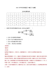 初中生物中考复习 生物-( 湖北卷)【试题猜想】2021年中考考前最后一卷(全解全析)